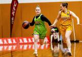 Warrnambool's Mia Mills dribbles down the court against Camberwell on Saturday. Picture by Anthony Brady