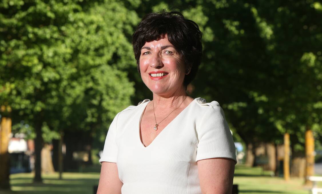 Corangamite Shire central ward councillor Geraldine Conheady says the new Terang Development Plan simply sets out the framework for any planned future development. 
