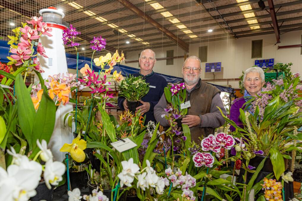 Residents will be able to attend the orchid show from 12pm-4pm on Saturday, July 6 and 9am-3pm on Sunday, July 7. Picture by Eddie Guerrero.