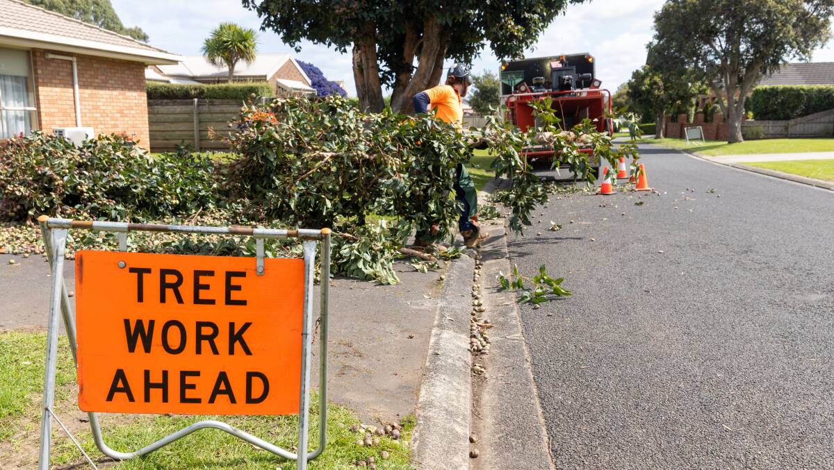 A city-wide clean-up is still underway after wild weather lashed parts of the south-west on Friday, September 8. Picture by Eddie Guerrero. 