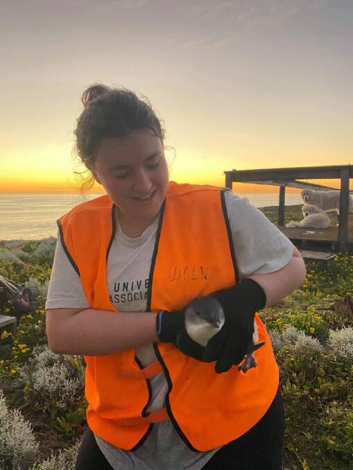 Warrnambool Coastcare Landcare Network Middle Island's Olivia Pagotto says the project is turning its focus to other bird life migrating to the island.