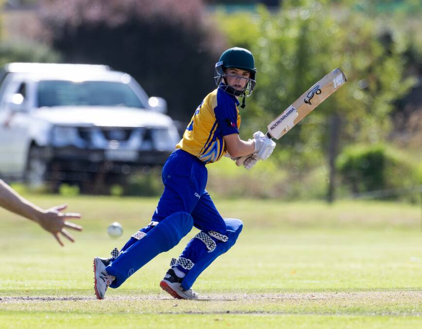 Cobden's Campbell Walsh, pictured last season, brought up a half century against Camperdown. Picture by Eddie Guerrero