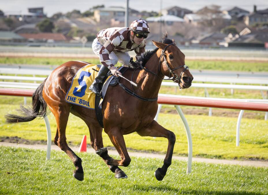 Jockey Jarrod Fry rode two winners at Warrnambool on Monday, including the Tom Dabernig-trained Bon's Your Back and Ciaron Maher and David Eustace's Crazy in Love (pictured). Picture by Sean McKenna