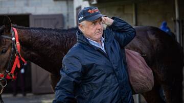 Warrnambool trainer Peter Lafferty, pictured in August 2023, is hopeful of a strong showing at Caulfield. File picture