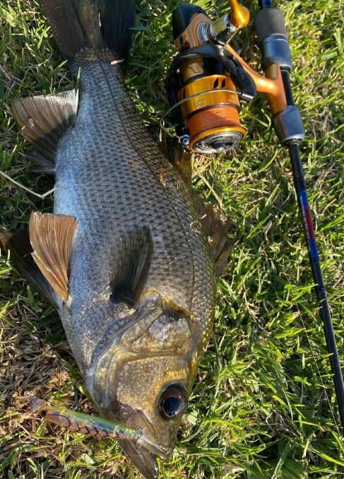 Mason Hunt caught this solid perch recently. Pictures supplied