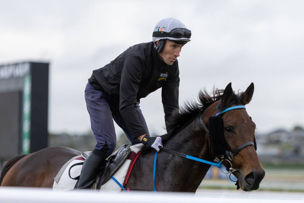 Exciting jumps jockey Will McCarthy will lead the charge for the Ciaron Maher stables. Picture by Eddie Guerrero
