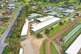 The stables at the Warrnambool racecourse are on the market. Picture supplied