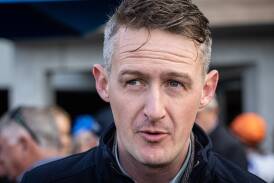 Warrnambool trainer Shane Jackson is confident in the future prospects of Port Nepean. File picture
