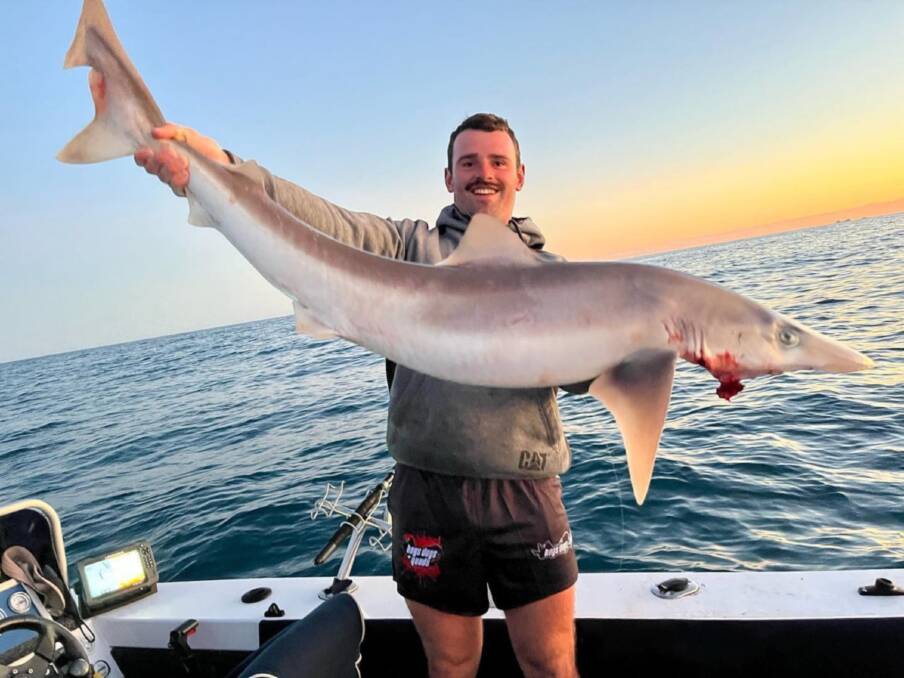 DAY TO REMEMBER: Scott Addinsall with the big school shark he landed on a top day of fishing which included some kingies and a massive silver trevally.