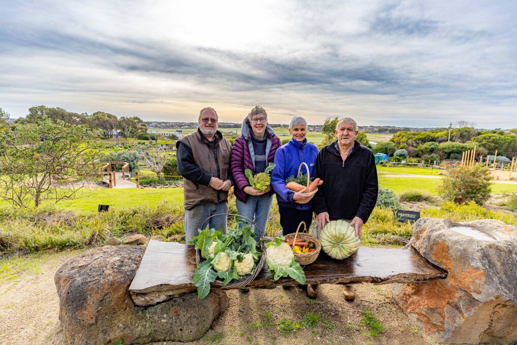 Warrnambool Community Gardens members Rob Porter, Adele Kenneally, Rose Nicholls and Keith Fisher with some of the produce harvested on Wednesday. Picture by Eddie Guerrero.