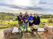 Warrnambool Community Gardens members Rob Porter, Adele Kenneally, Rose Nicholls and Keith Fisher with some of the produce harvested on Wednesday. Picture by Eddie Guerrero.