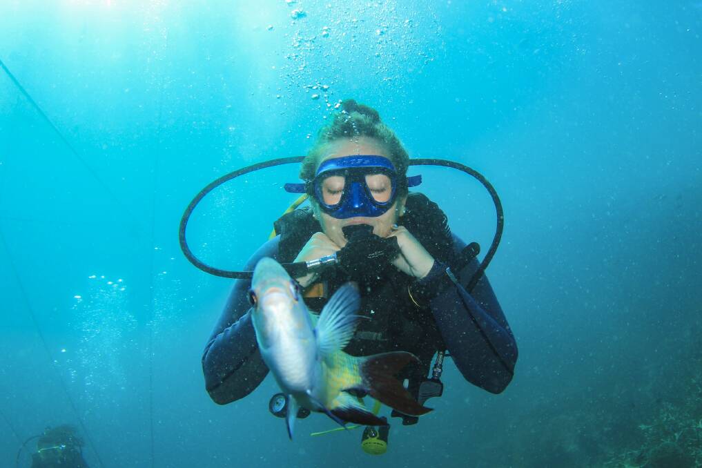 Koroit's Ellie McCosh is a dive instructor in Fiji and helps with marine life conservation.