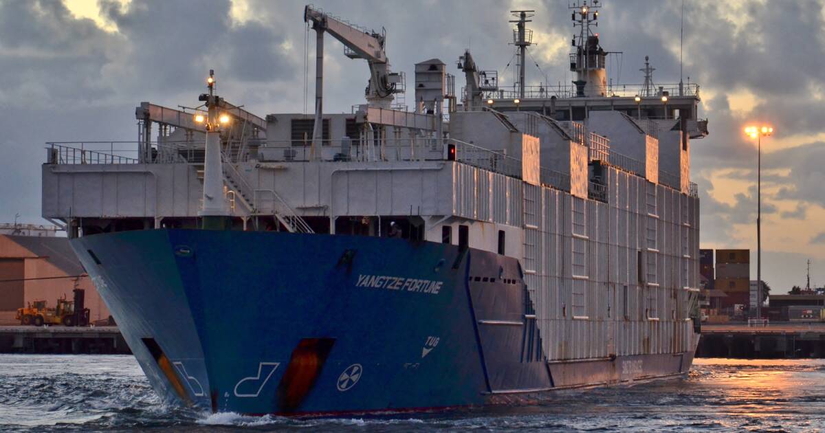 10 Million Cattle Shipment From Portland Halted For A Month The Standard Warrnambool Vic 5969