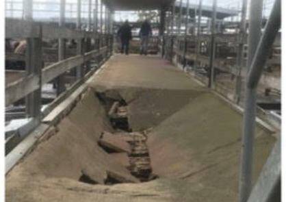 A concrete buyers' walkway collapsed at the Warrnambool saleyards in October 2020. The council has been fined $12,500.