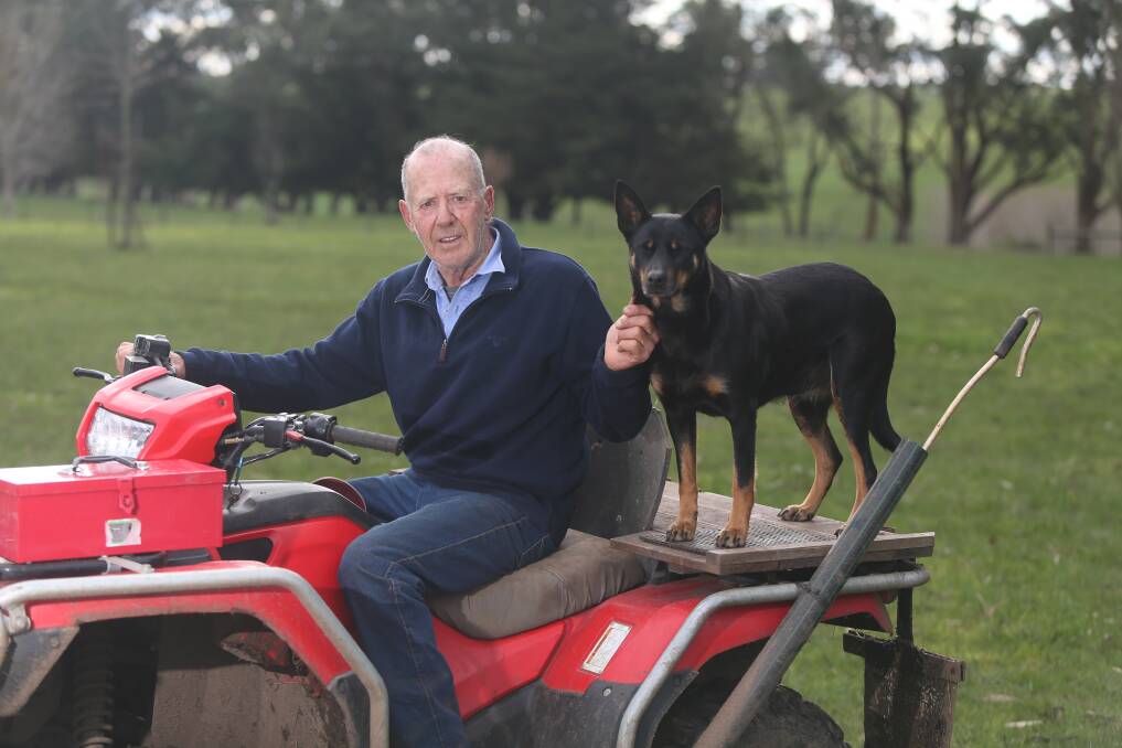 STANDING: Purnim farmer Bill Robinson will stand as a Moyne Shire candidate at the 2020 council elections to 'give back' after his son took over the family farm. Picture: Mark Witte