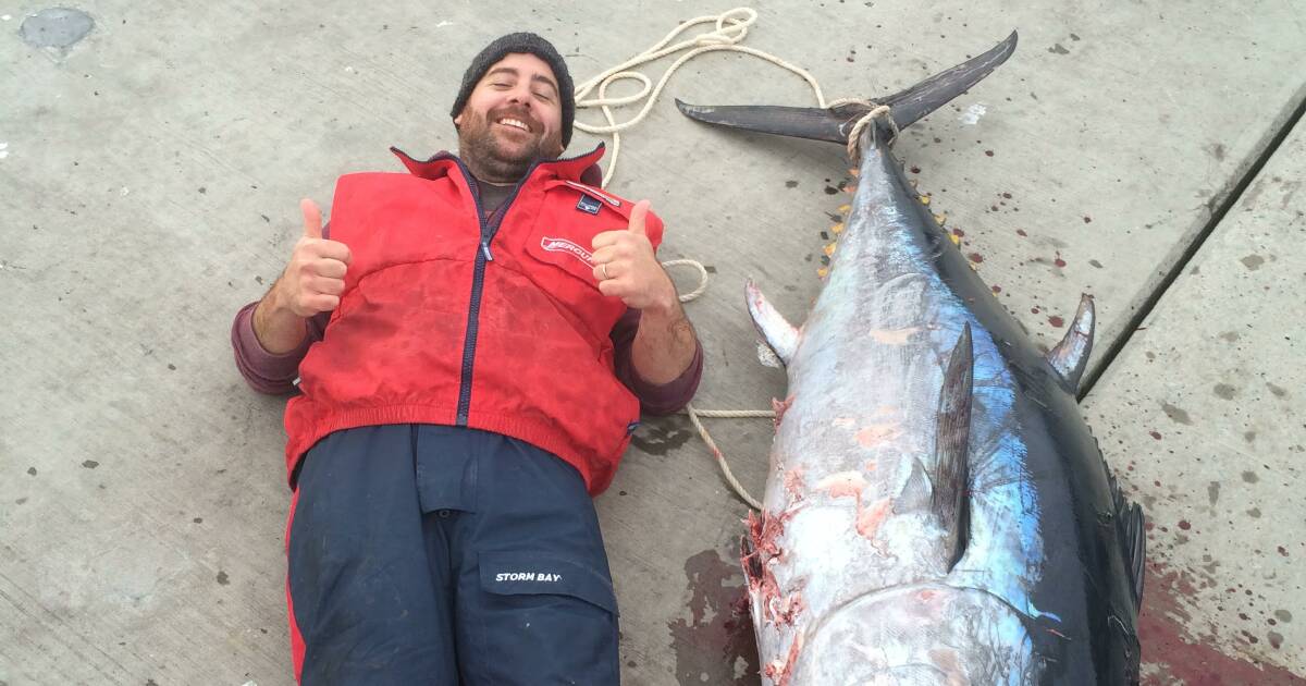 Huge southern bluefin tuna caught off Tasman peninsula, video, The  Standard