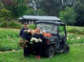 Otway Flower Farm blossomed during the pandemic to give purpose to Kerri and Andrews passion for gardening. Pictures supplied 
