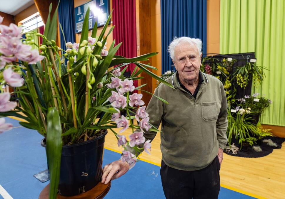 Warrnambool's Paul Horsnell with some of the orchids he's grown and entered into the Warrnambool and District Orchid Show. Picture by Sean McKenna 