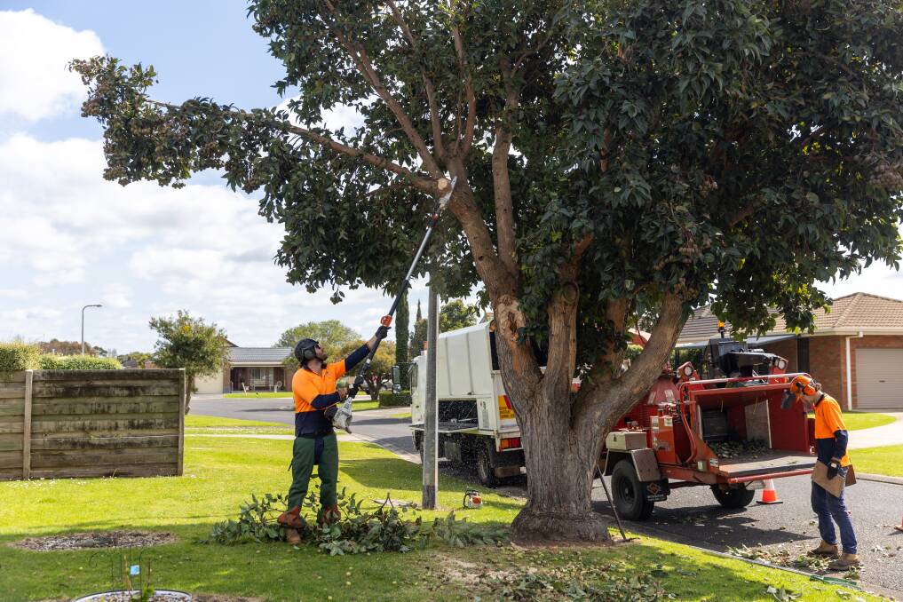 Warrnambool City Council's Isaac Watson and Lewis Campbell-Gavin from clean up storm damage near the intersection of Moonah St and Medinah Close on Monday, September 11. Picture by Eddie Guerrero