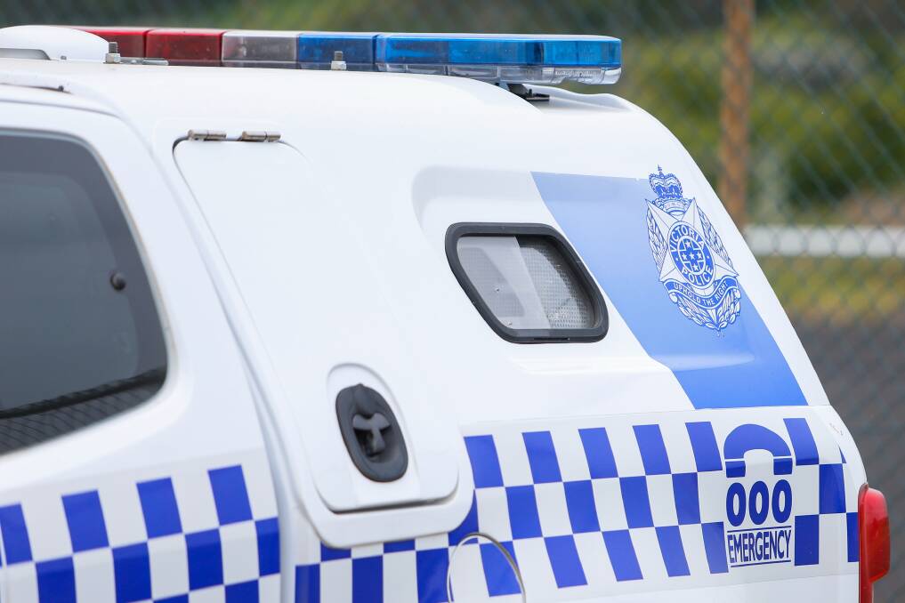 A woman whose car hit a cow head-on at high speed on the Princes Highway has been taken to hospital.