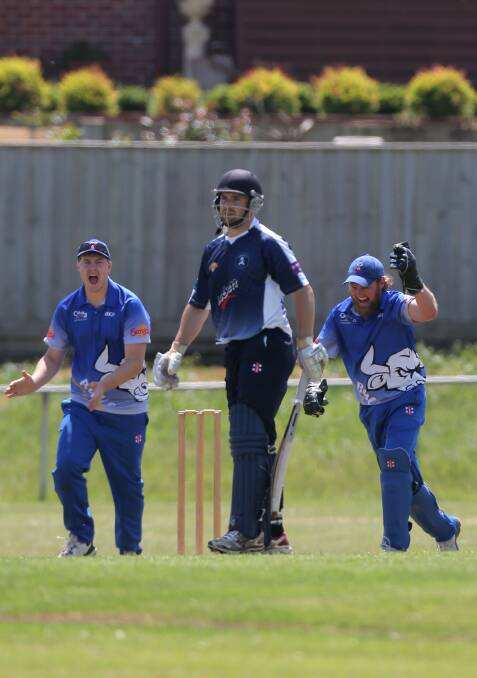 SHORT-LIVED: Bulls duo Ryan Prout and Tom Kelson enjoy a wicket but it was Pirates skipper Aaron Williams who was smiling after the game. Picture: Vicky Hughson