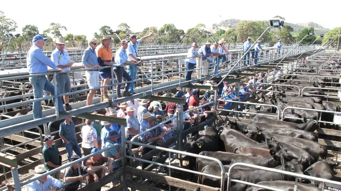 'We'd love to keep it open': Town's saleyards to close within weeks
