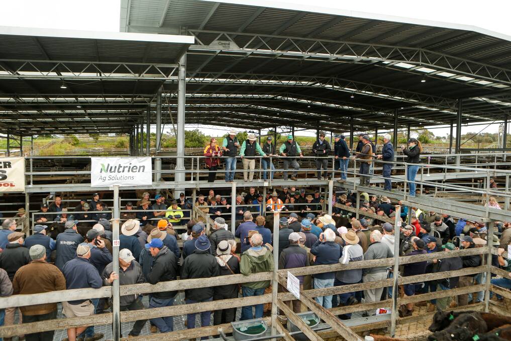 The new roof at the saleyards was only used for about 20 months before the facility closed.