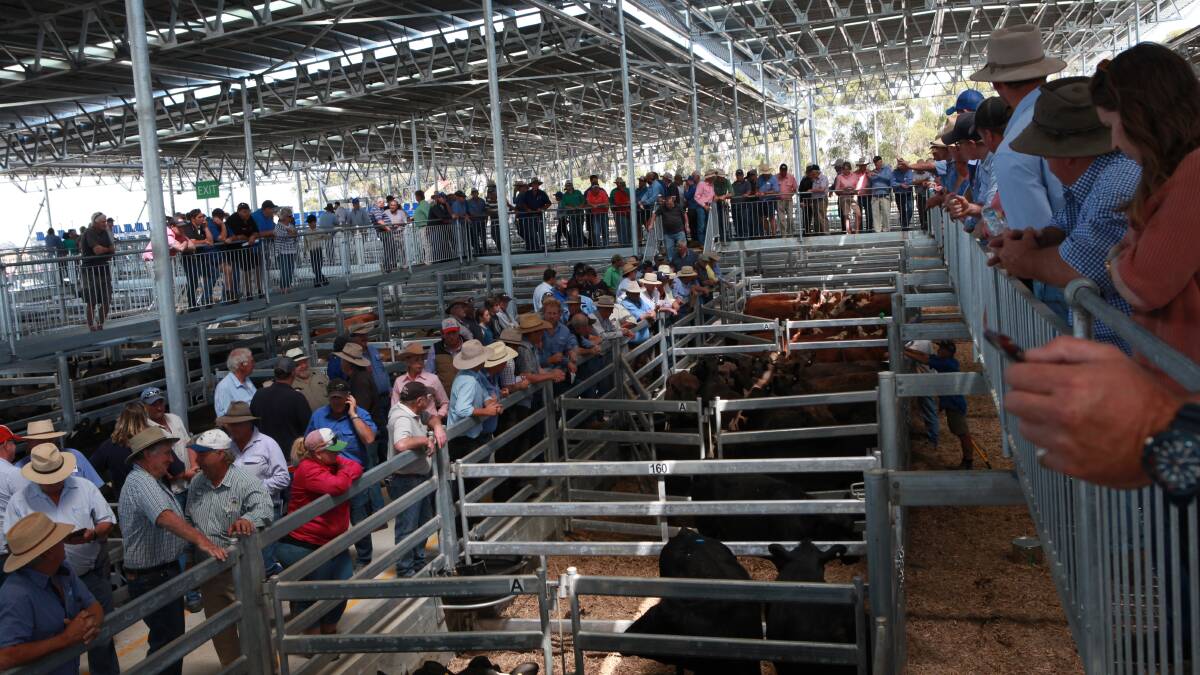 'Moving on': Mortlake saleyards to be sold