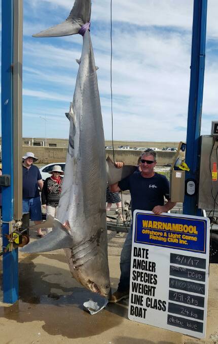 Weighed-in: Melbourne bricklayer Steve Dodd dwarfed by Wednesday's catch - a mako shark - which tipped the scales at 291.8 kilograms. 