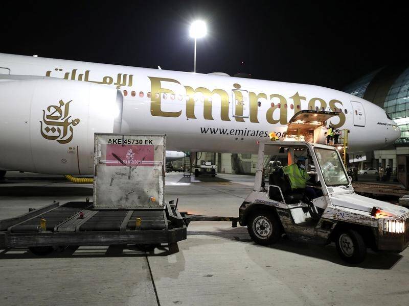 Emirates says a number of flamingos have been killed after colliding with a plane landing in Mumbai. (AP PHOTO)
