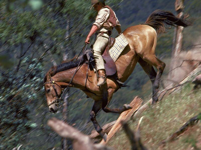 A live orchestra will accompany screenings of classic Australian film The Man From Snowy River. (PR HANDOUT IMAGE PHOTO)