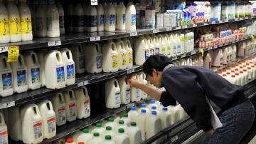 The Queensland Greens have proposed a price cap on basic essential grocery items such as milk. (Paul Miller/AAP PHOTOS)