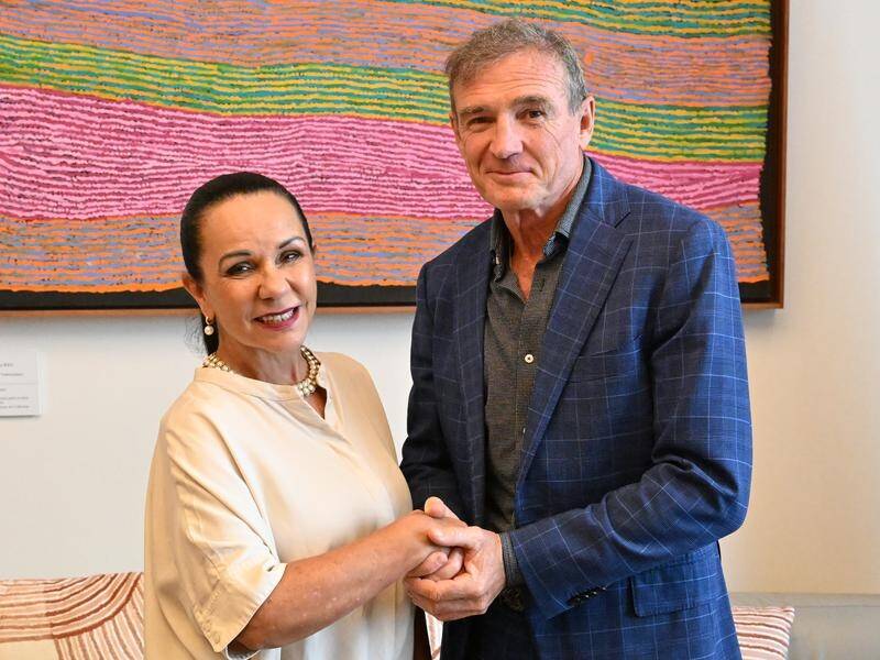 Pat Farmer travelled to Canberra this week to meet Indigenous Australians Minister Linda Burney. (Mick Tsikas/AAP PHOTOS)