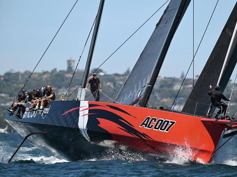 Sydney to Hobart favourite Andoo Comanche is hoping to win consecutive editions of the great race. (Dean Lewins/AAP PHOTOS)