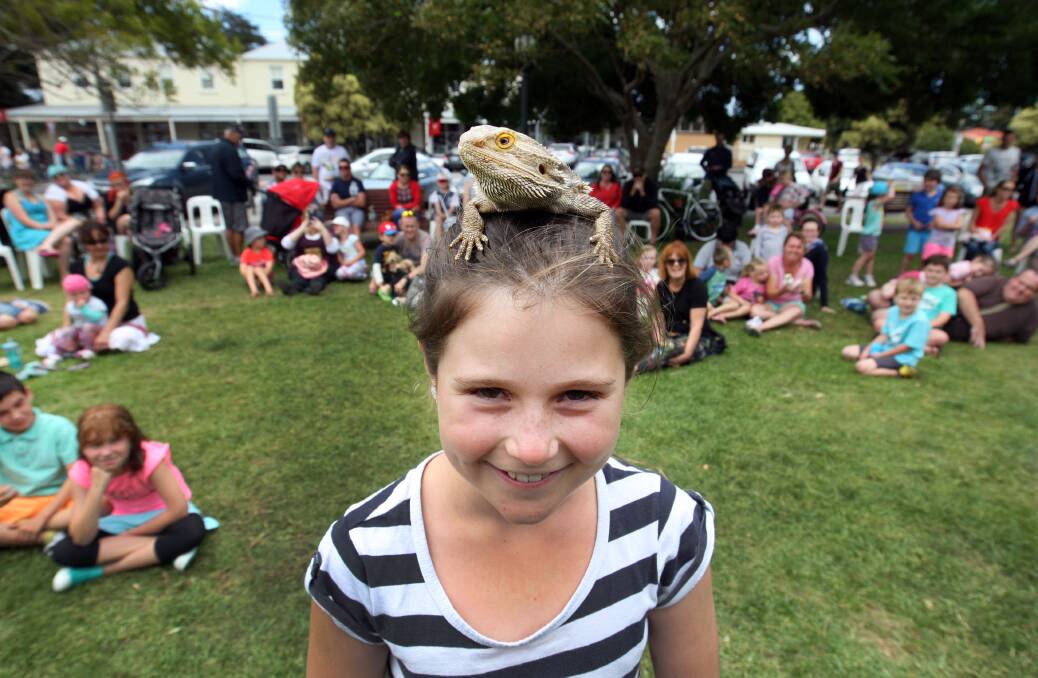 Ten-year-old Ascha Peterson from Port Fairy balances a bearded dragon lizard on her head during a show on the Village Green by Black Snakes Productions during the 67th Moyneyana Festival this week.  141227LP33 Picture: LEANNE PICKETT