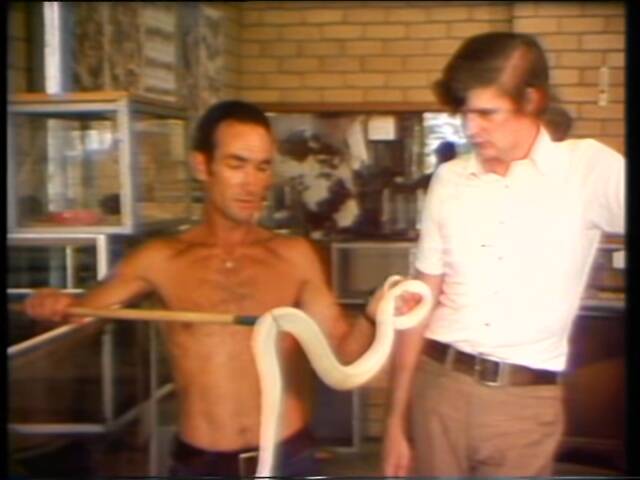 Barry Searle and Mal Leyland with an albino snake in 1976. File picture 