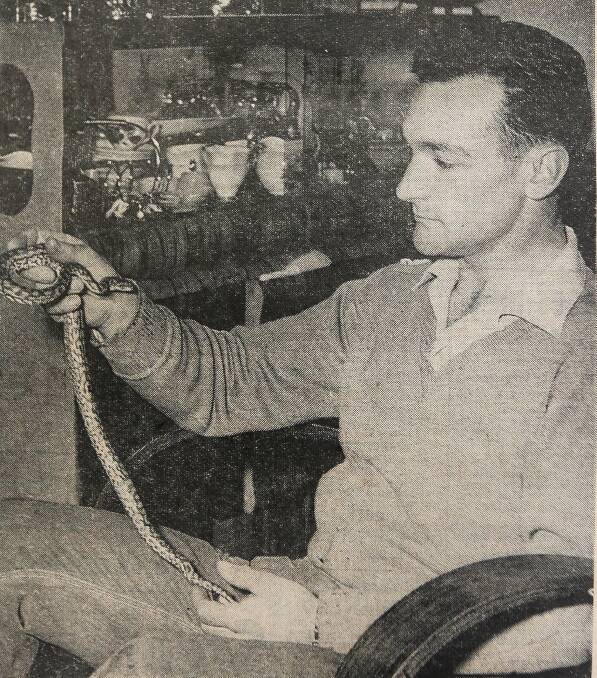 Barry Searle with his pet carpet snake in 1963. File picture