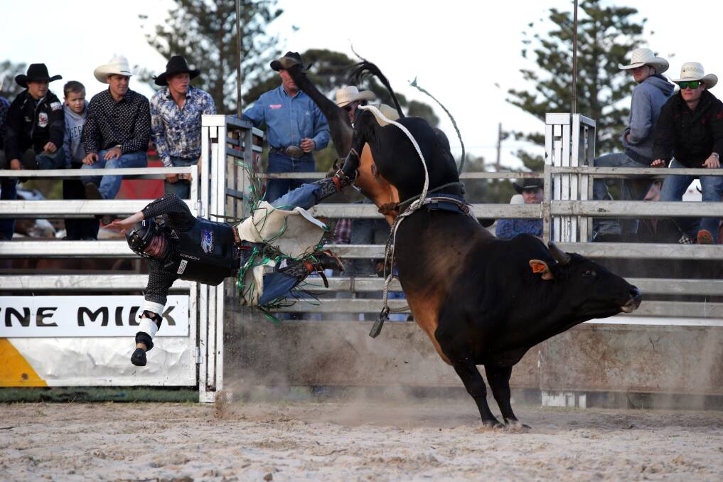 Bull rider Will Watson in the Port Fairy Woodall Rodeo held at Port Fairy Show Grounds. Picture: DAMIAN WHITE